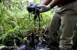 Śmierć w Amazonii - cena jaką płacimy za dobra materialne.